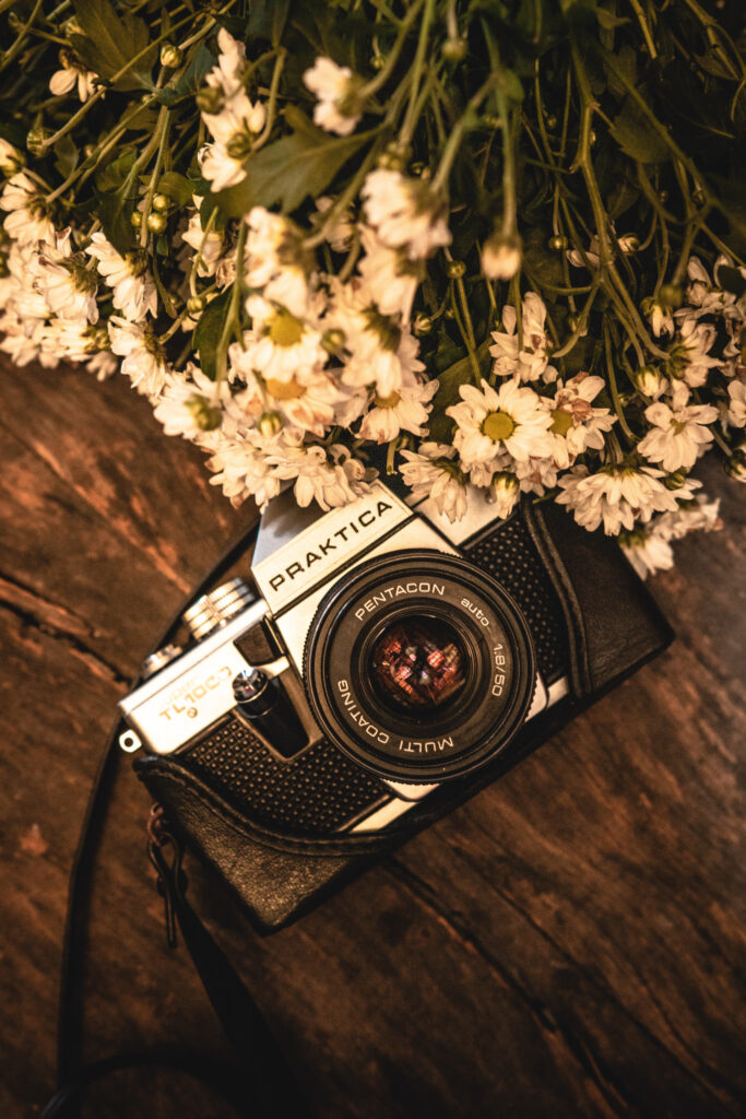 Vintage film camera on wood board with wildflower daisies.